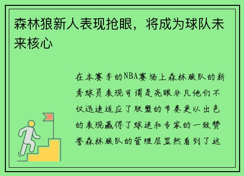森林狼新人表现抢眼，将成为球队未来核心